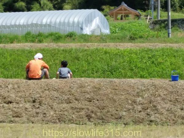 家族でお米作り体験に参加！まずは田植えから